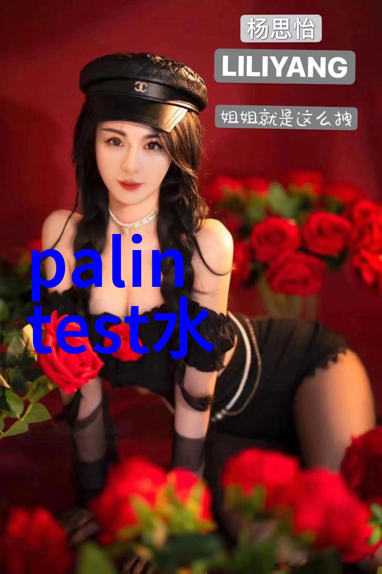 PXBJ-287L型便携式离子计